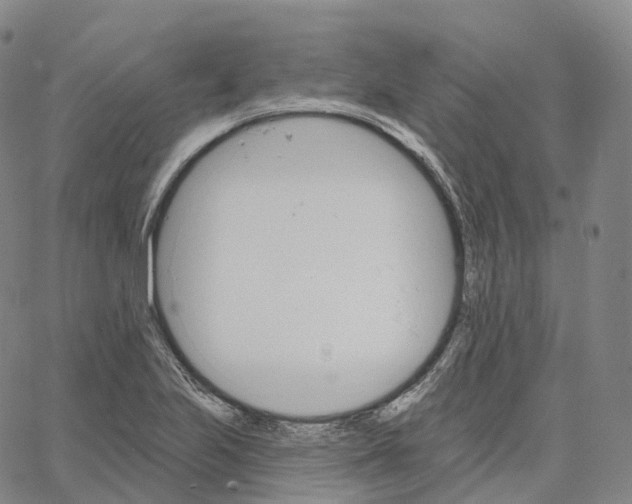 X0000062641223200601181736