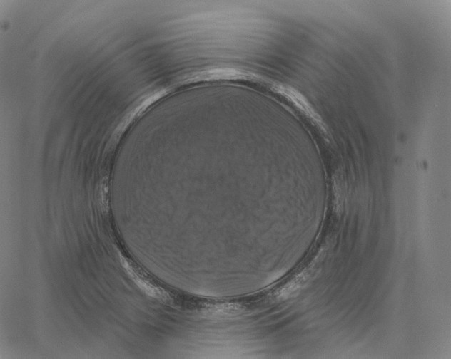 X0000062641225200601181736