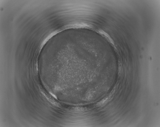 X0000062641226200601181736