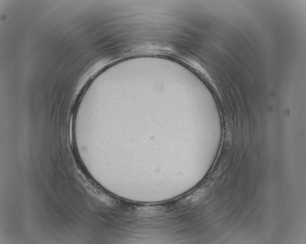 X0000062641227200601181736