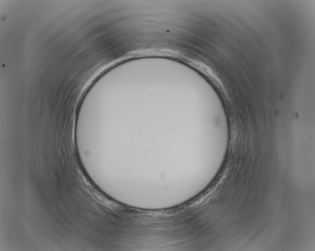 X0000062641228200601181736