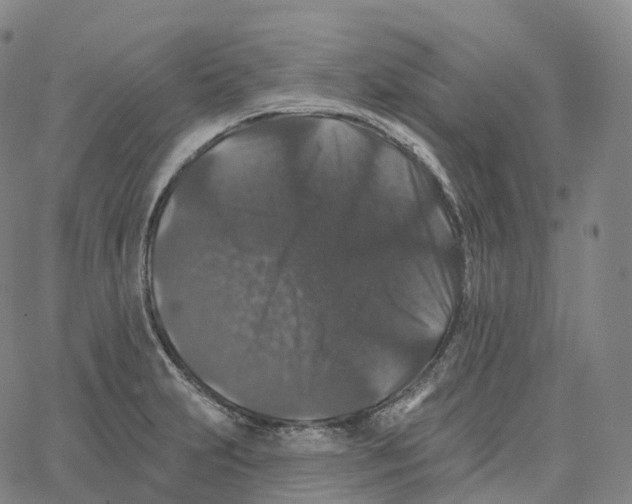 X0000062641231200601181736