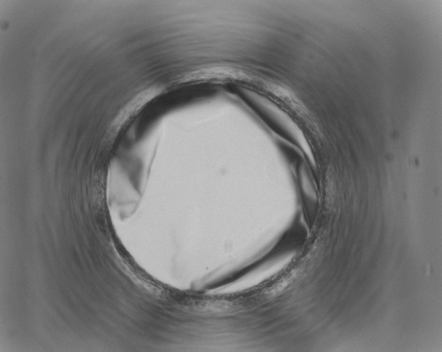 X0000062641233200601181737