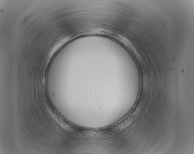 X0000062641234200601181737