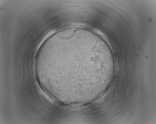 X0000062641235200601181737