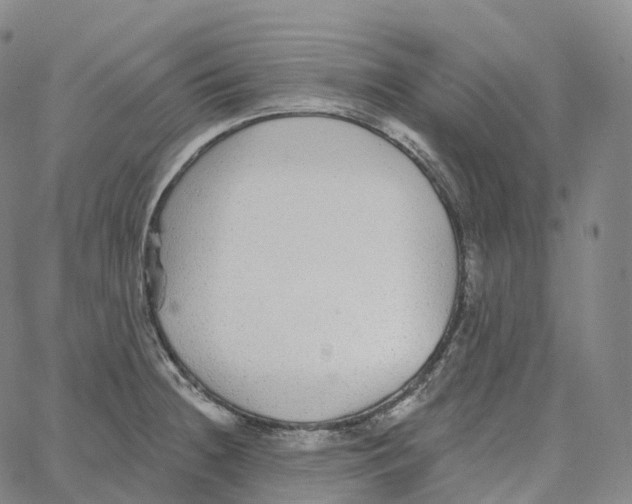 X0000062641236200601181737