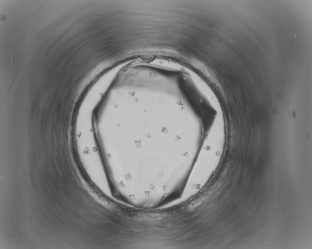 X0000062641237200601181737