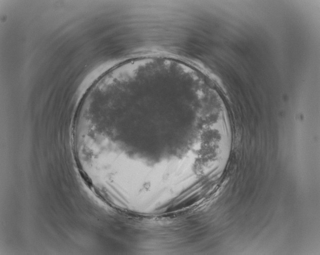 X0000062641239200601181737