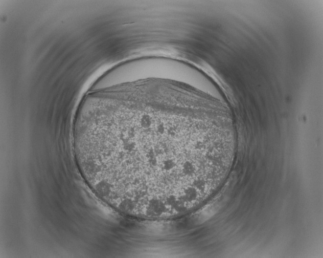 X0000062641240200601181737