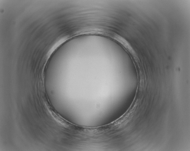 X0000062641242200601181737