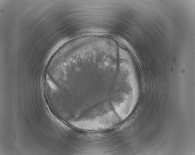 X0000062641243200601181737