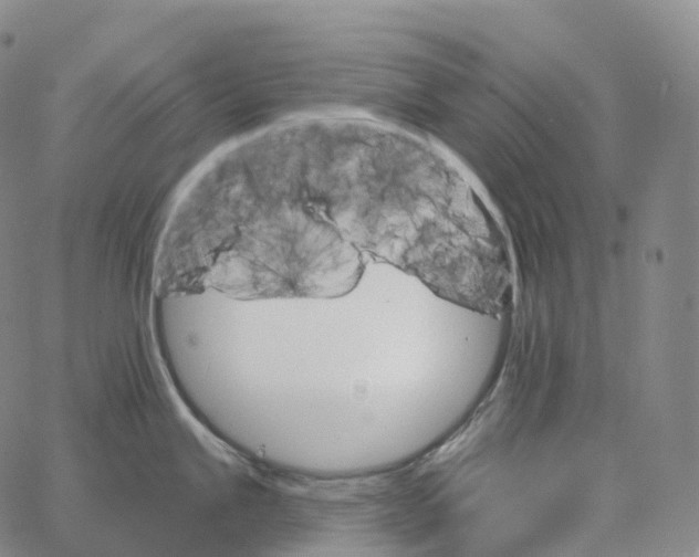 X0000062641245200601181737