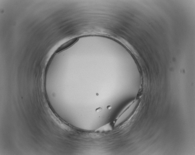 X0000062641246200601181737