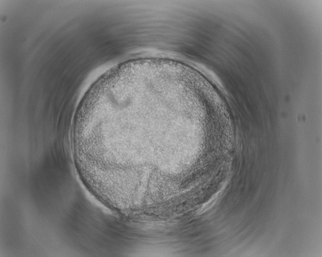 X0000062641247200601181737