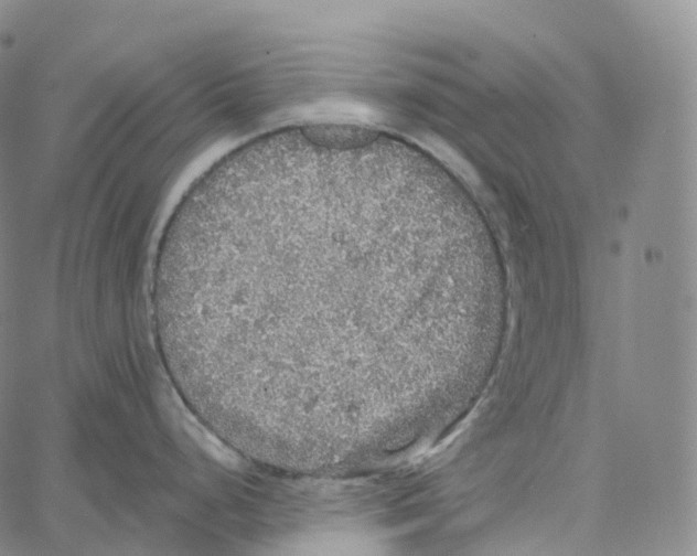 X0000062641248200601181737