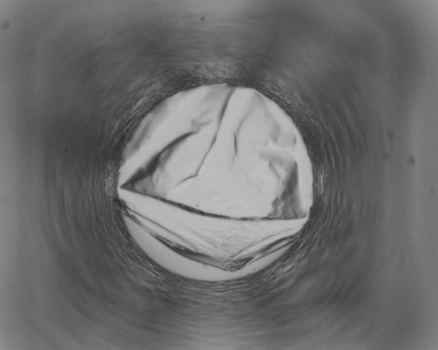 X0000062641251200601181736