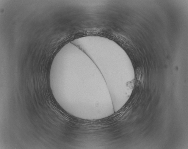 X0000062641252200601181736