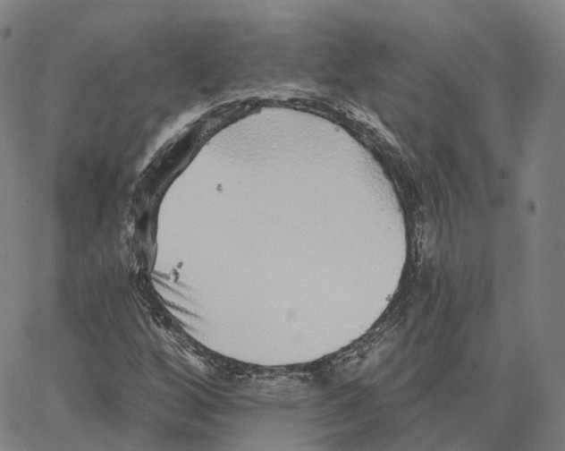 X0000062641256200601181736