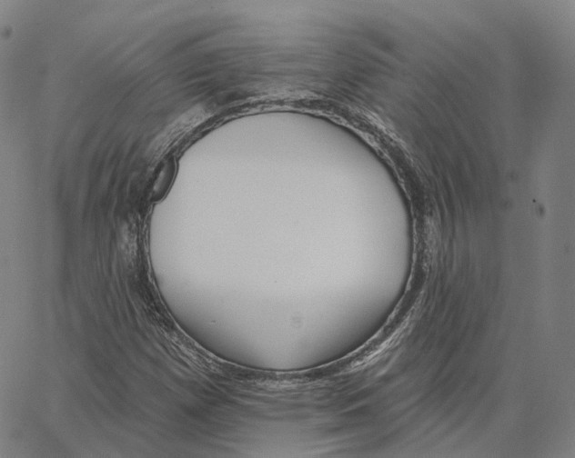 X0000062641257200601181736