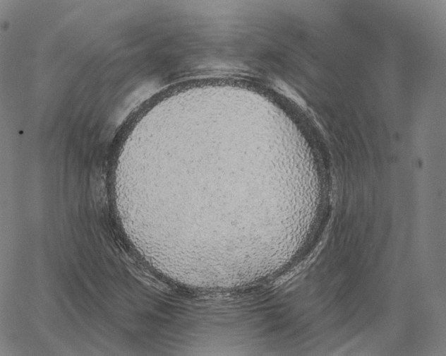 X0000062641259200601181736