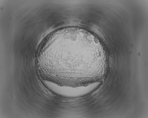 X0000062641260200601181736