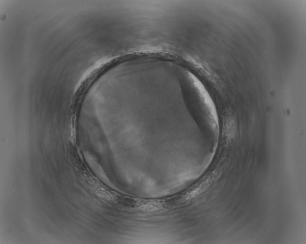 X0000062641262200601181736