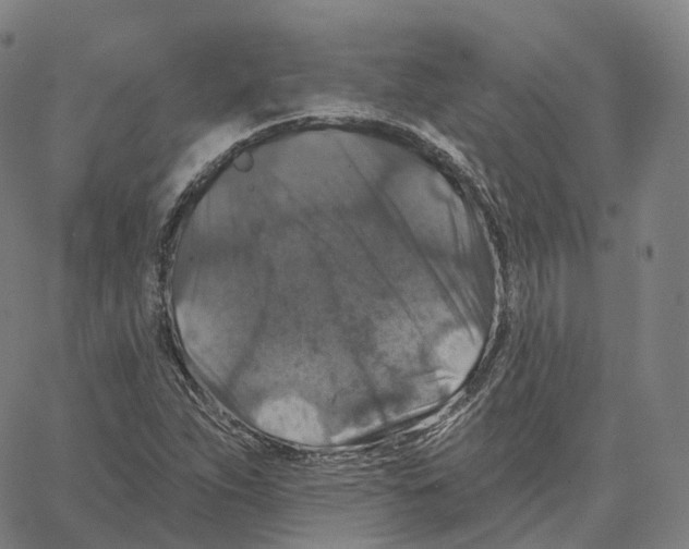 X0000062641263200601181736