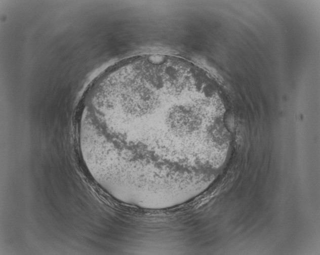 X0000062641264200601181736