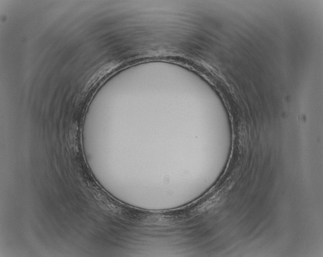 X0000062641265200601181736