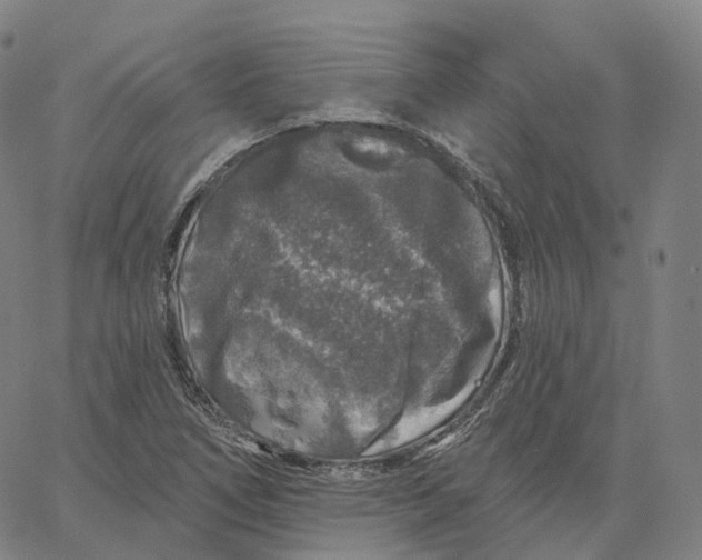 X0000062641266200601181736