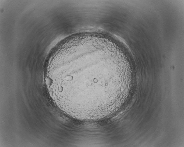 X0000062641267200601181736