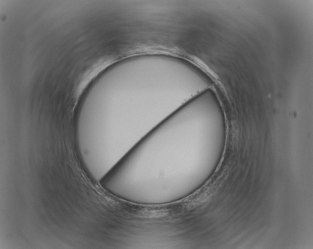 X0000062641269200601181736