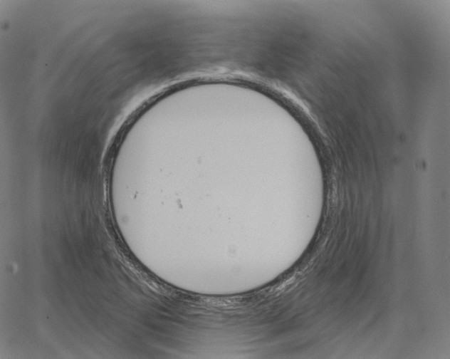 X0000062641270200601181736