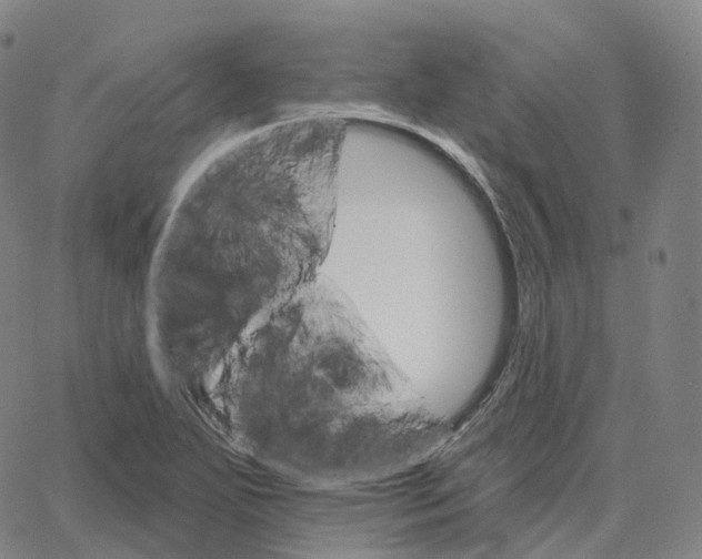 X0000062641271200601181736