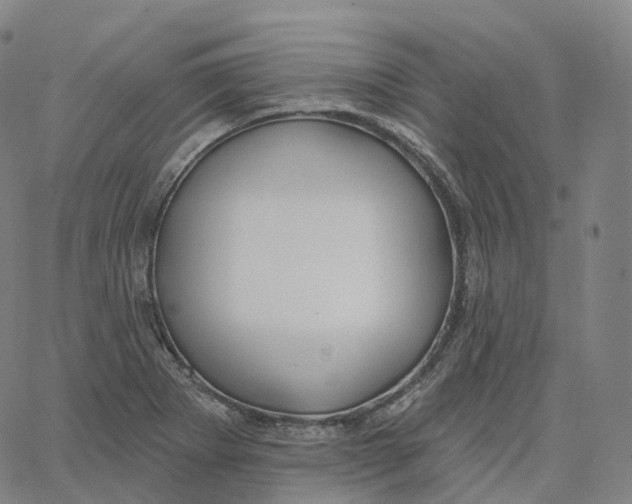 X0000062641273200601181736