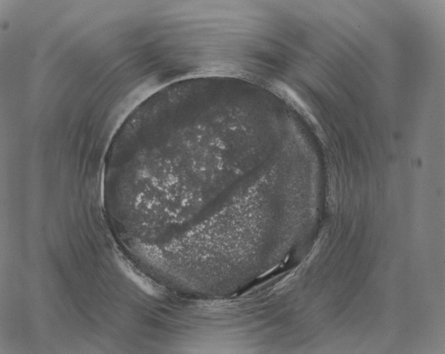 X0000062641276200601181736