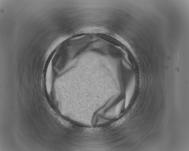 X0000062641277200601181736