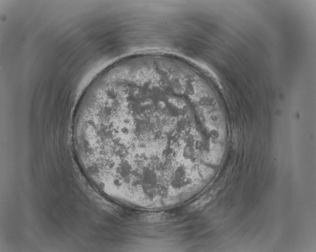 X0000062641279200601181735