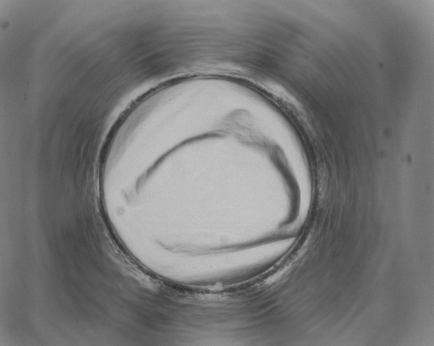 X0000062641280200601181735