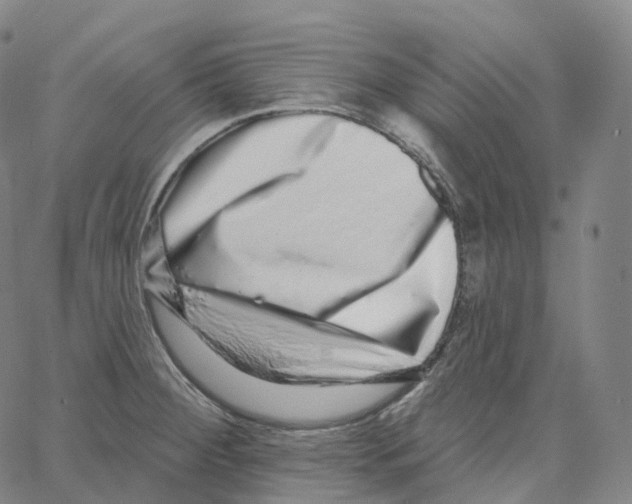 X0000062641284200601181735