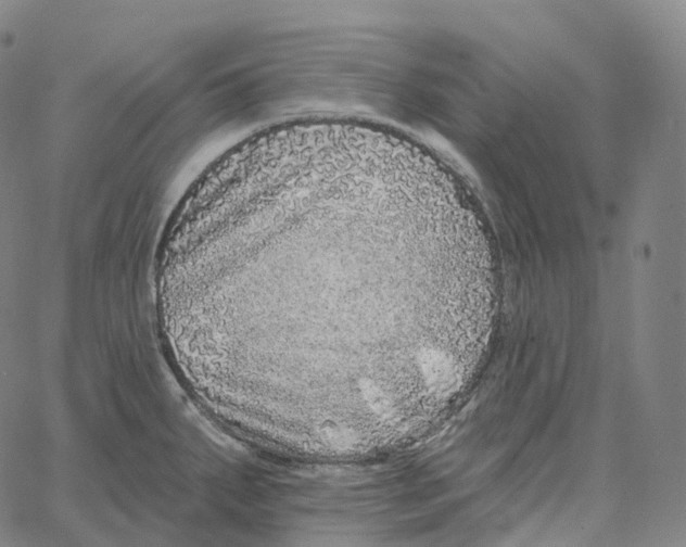 X0000062641287200601181735