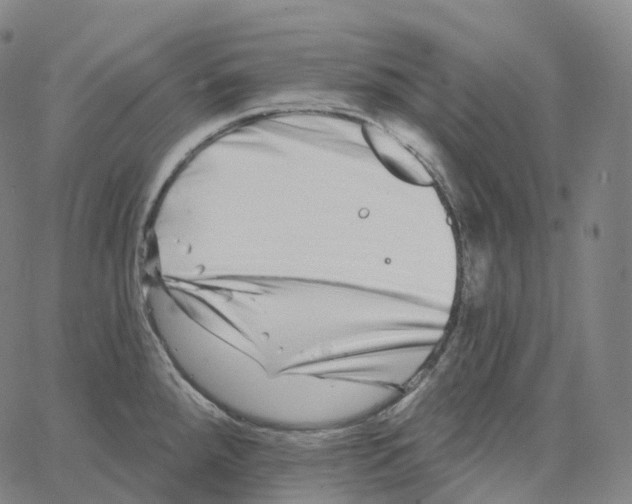 X0000062641288200601181735