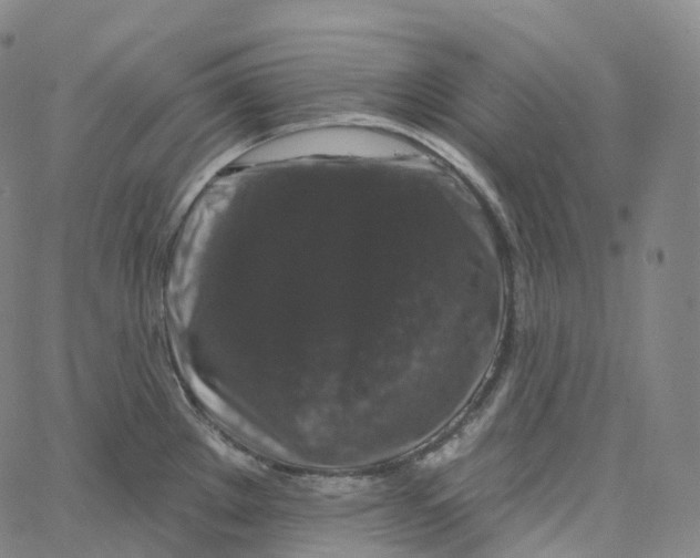 X0000062641289200601181735