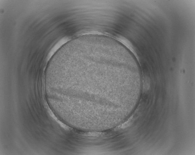 X0000062641290200601181735