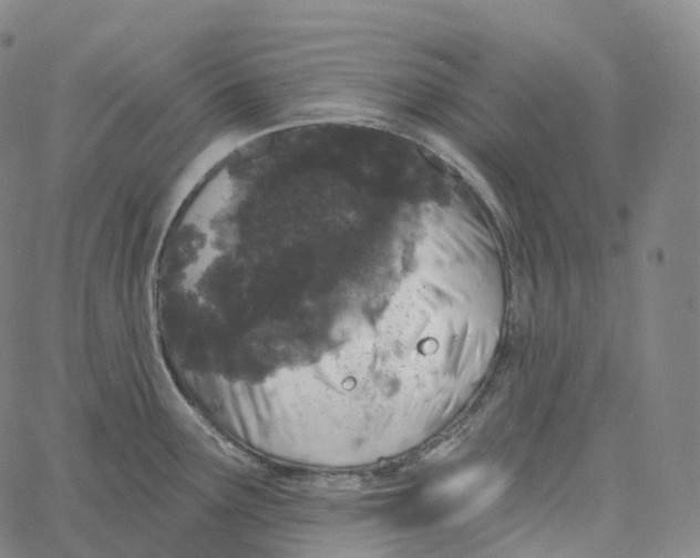 X0000062641291200601181735