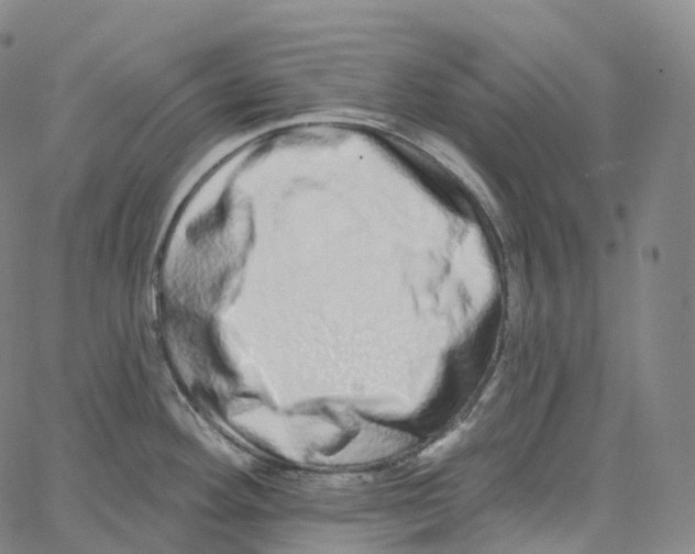 X0000062641292200601181735