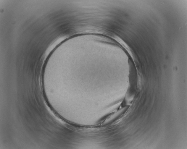 X0000062641293200601181735