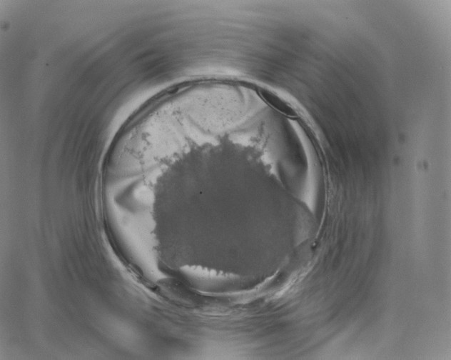 X0000062641295200601181735