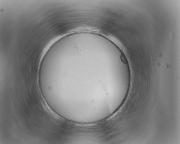 X0000062641296200601181735