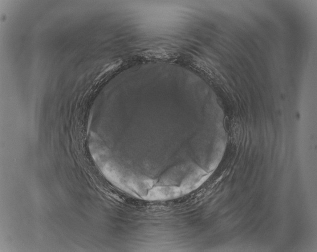 X0000062641297200601181734